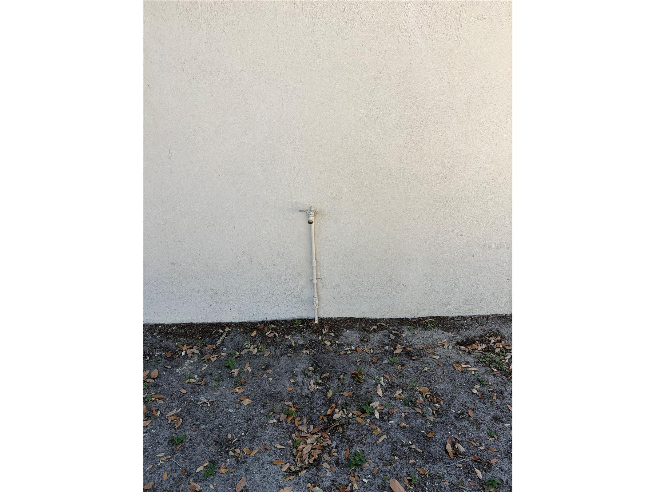 312 E Dr Martin Luther King Jr Boulevard Tampa FL 33603 TB8497471 image6