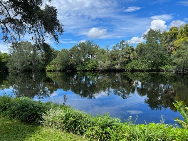 312 E Hollywood Street Tampa FL 33604 - HILLSBOROUGH RIVER T3403450 image1