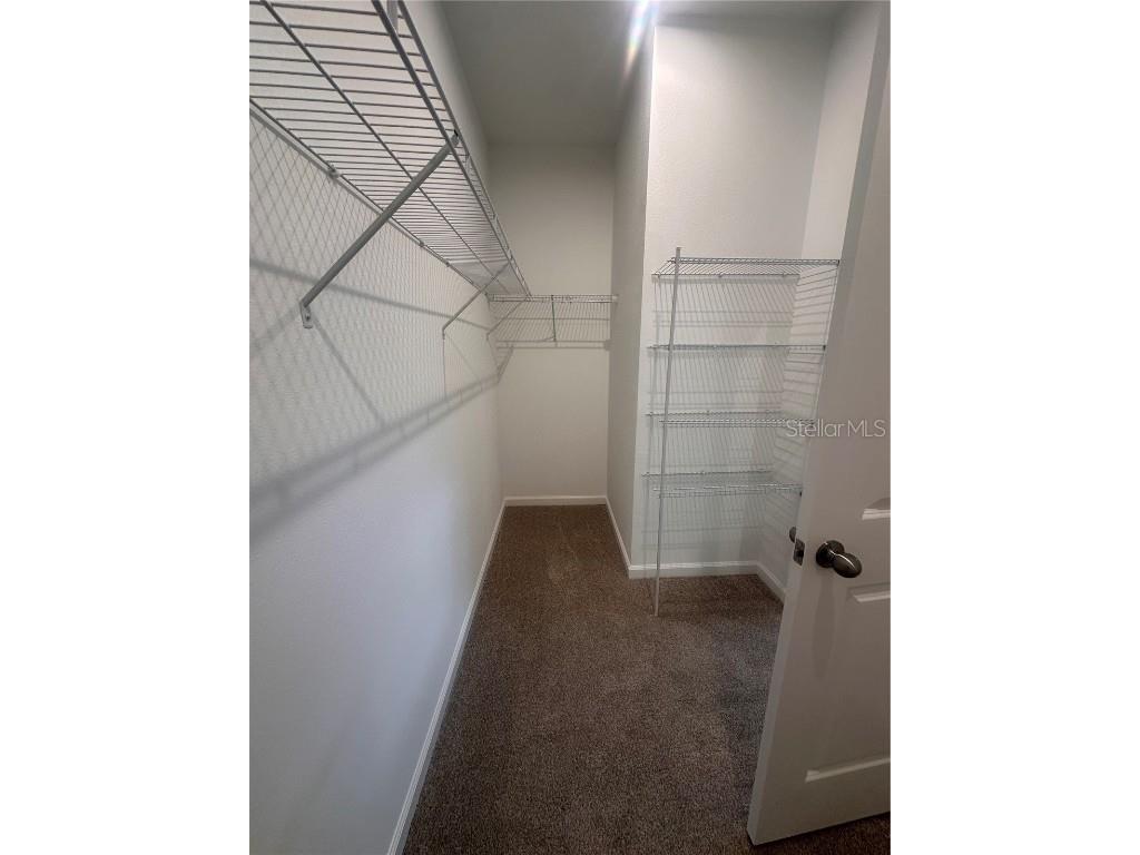 312 Free Range Drive Groveland FL 34736 O6351339 image10