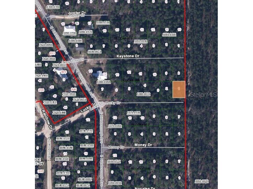 312 Lucky Drive Florahome FL 32140 OM644212 image3