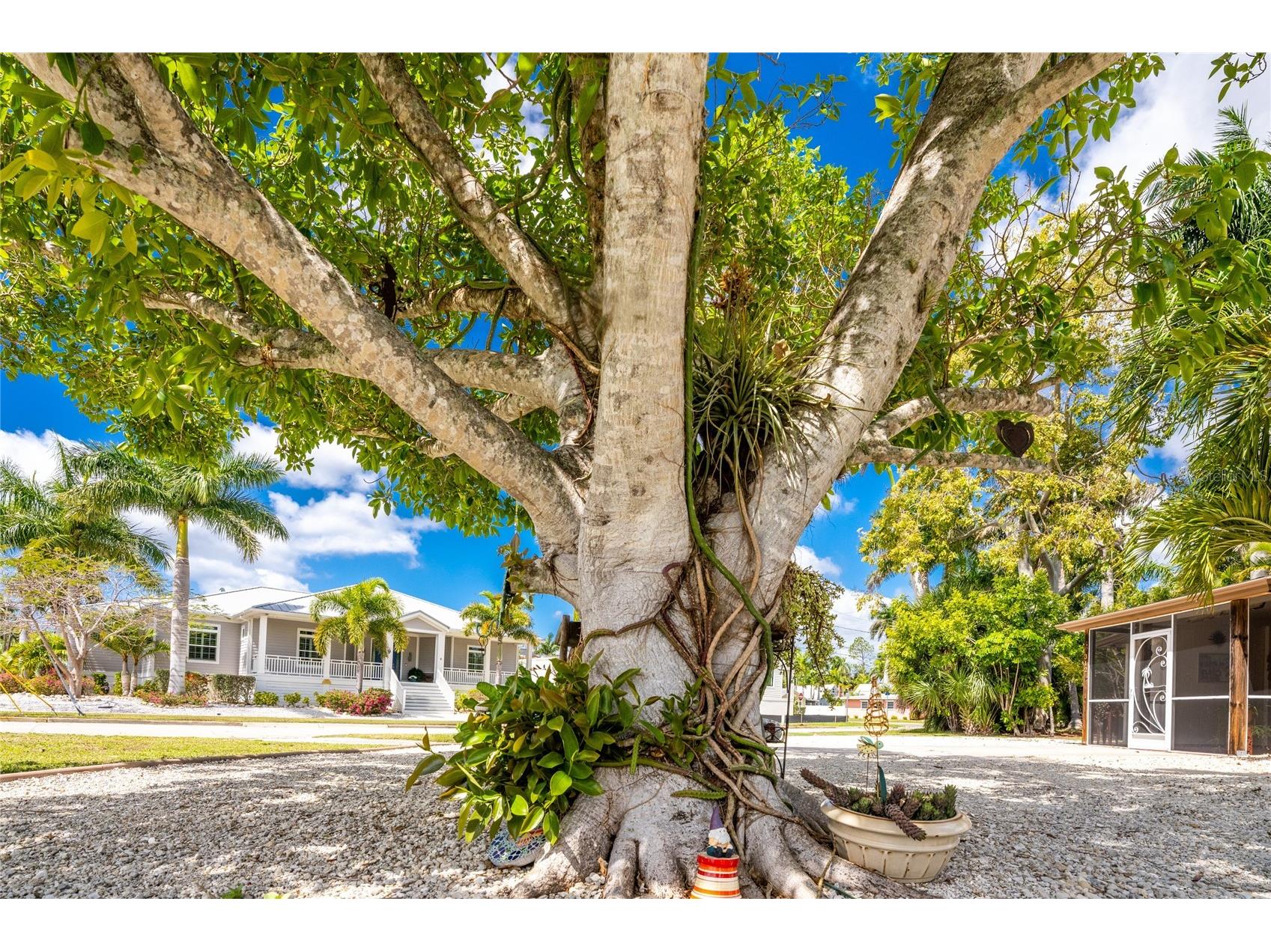 312 Mcgregor Street Punta Gorda FL 33950 C7524002 image52