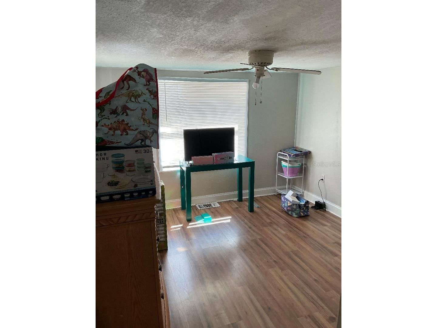 312 Osceola Avenue Eustis FL 32726 V4947242 image7