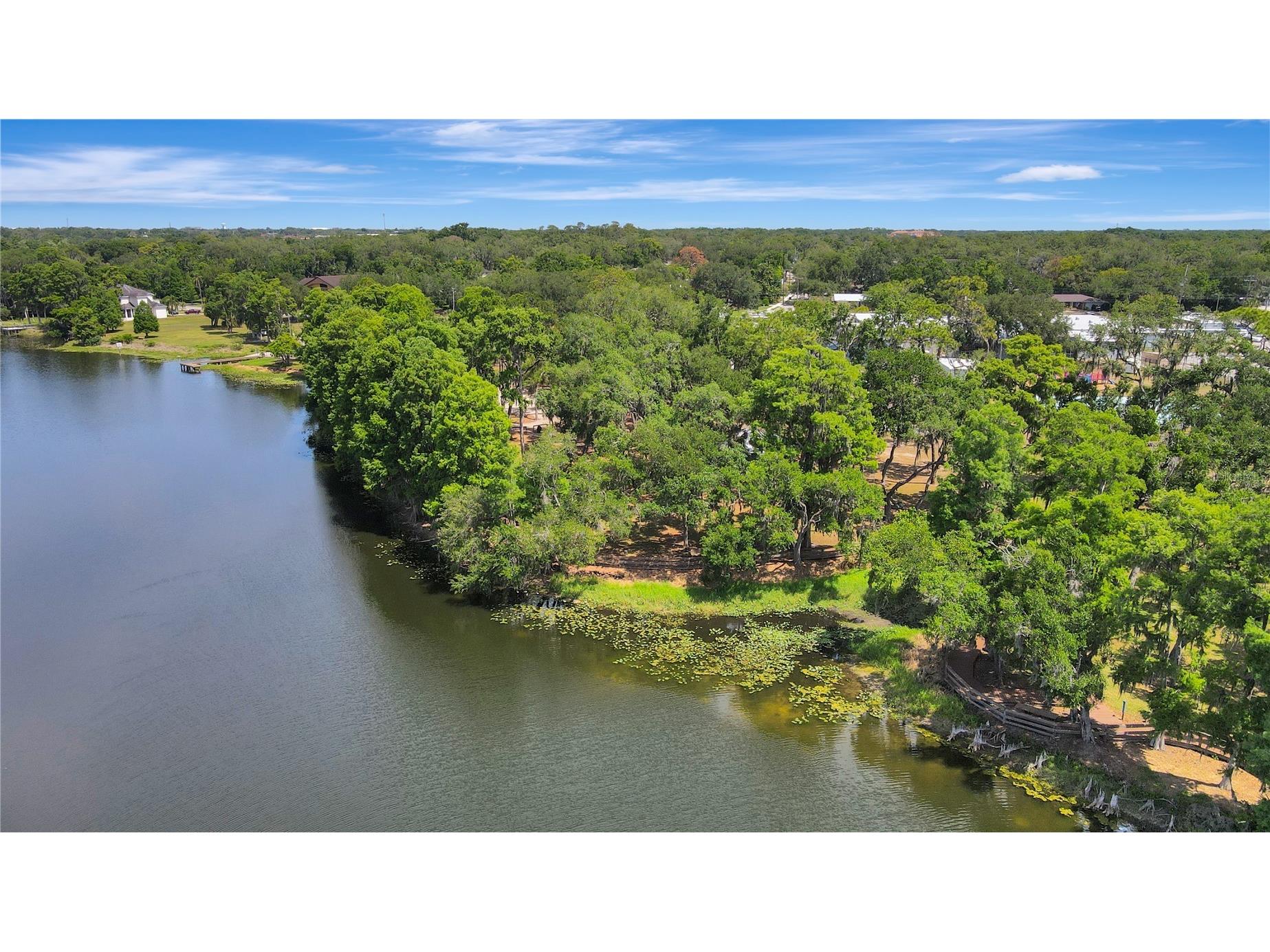 312 S Riverhills Drive Tampa FL 33617 TB8519211 image7