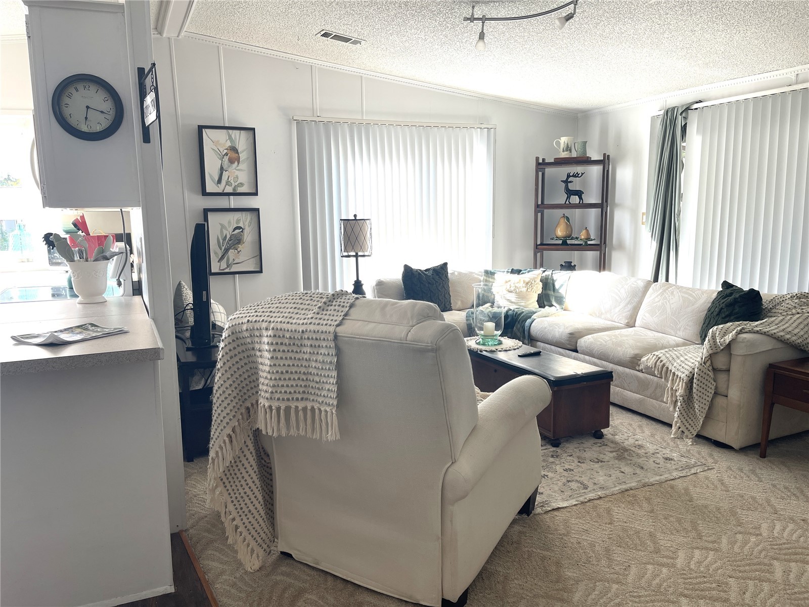 312 S Timber Trl Wildwood FL 34785 G5111967 image11
