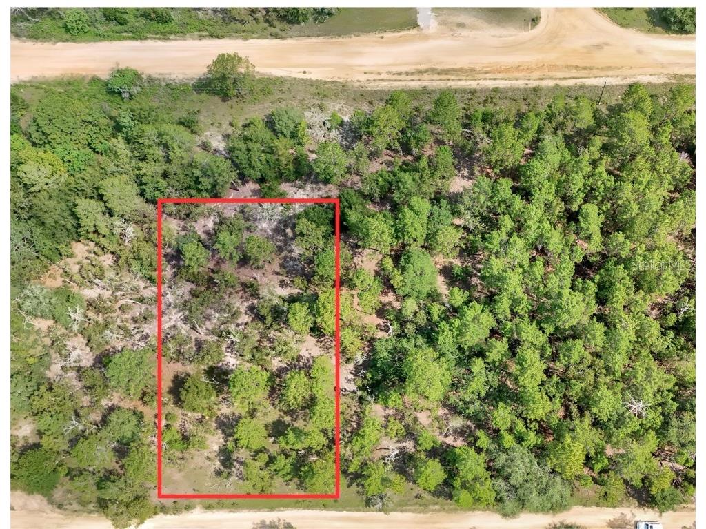 312 Shangri-La Street Interlachen FL 32148 OM684294 image1