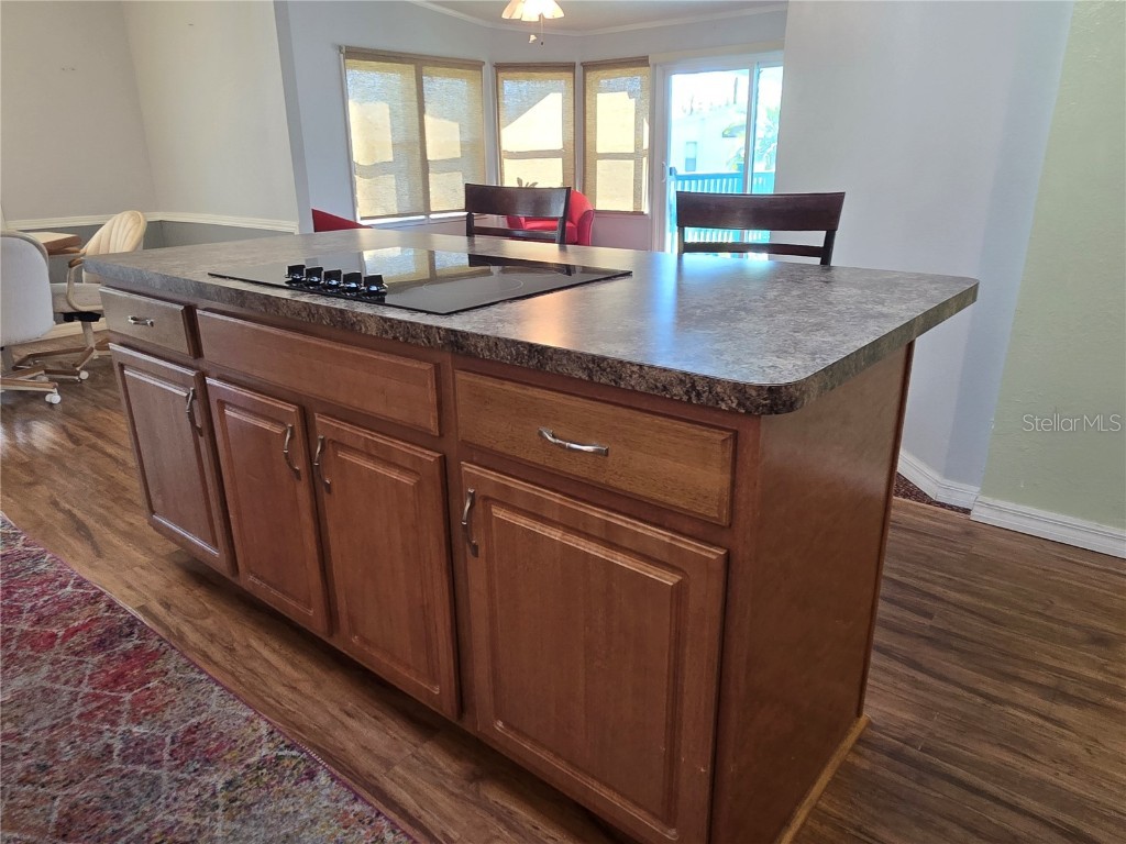 312 Townbridge Drive Haines City FL 33844 - LAKE HENRY P4933286 image30