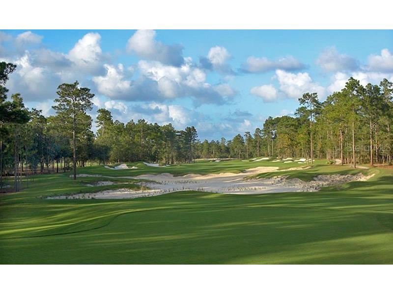 312 W Lake Victoria Circle Deland FL 32724 - Lake Victoria V4946298 image46