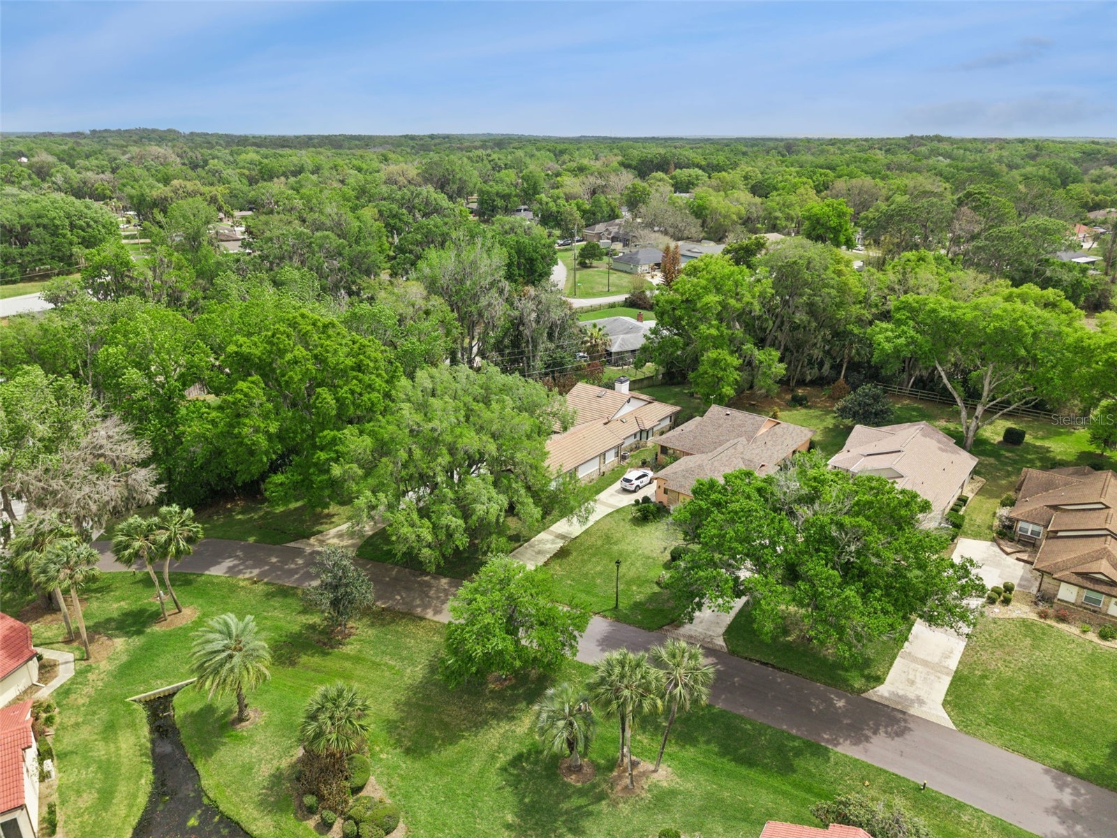 312 Waterwood Drive Yalaha FL 34797 G5110123 image43