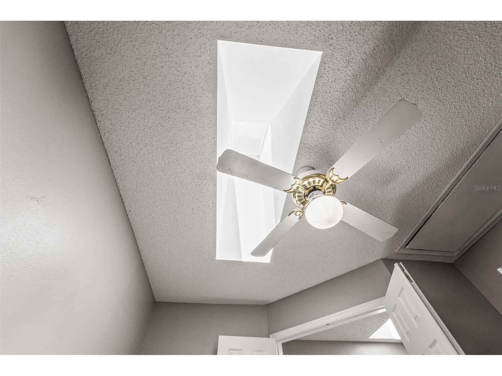 312 Winchester Way Palm Harbor FL 34684 C7524715 image33