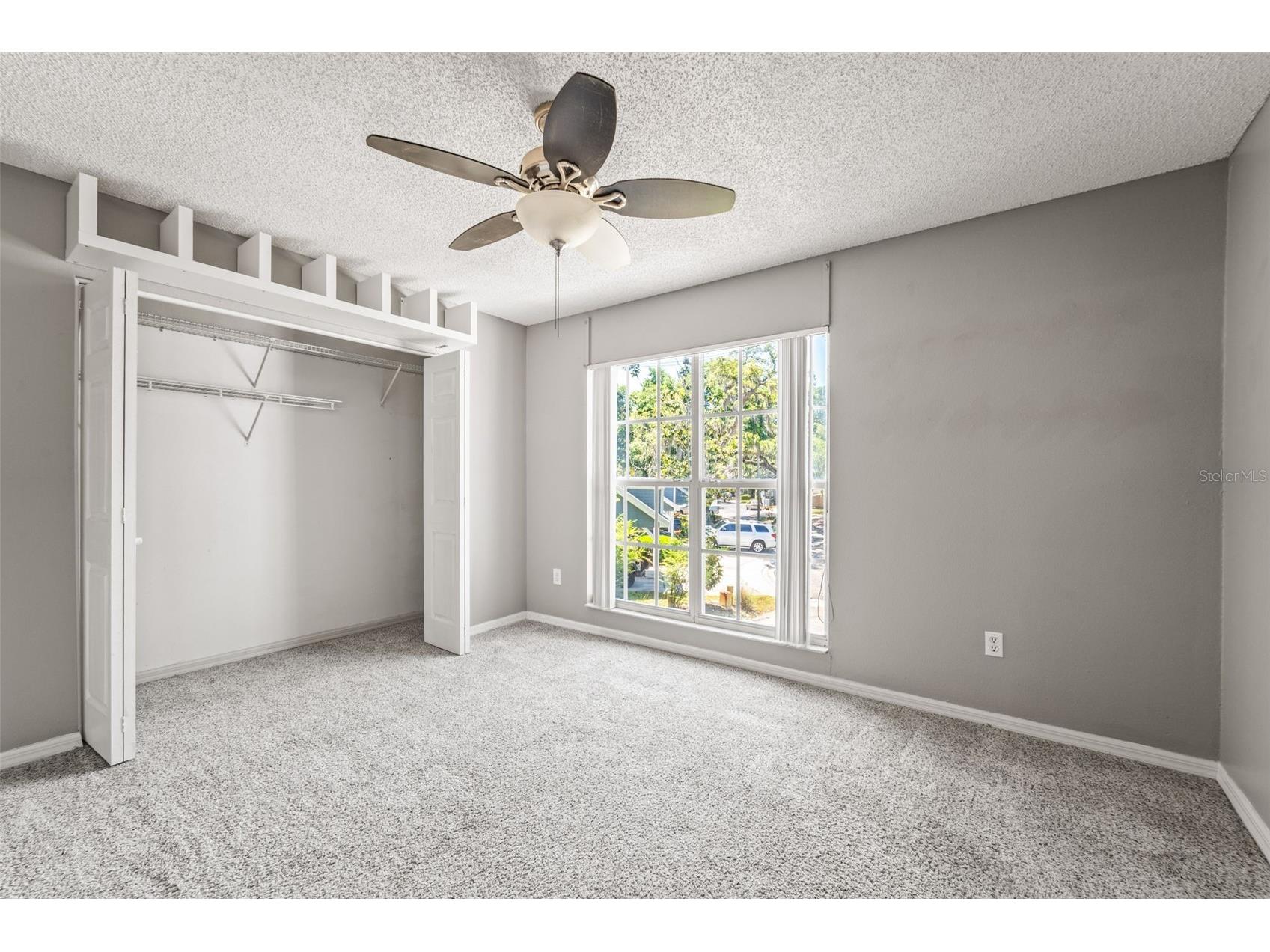 312 Winchester Way Palm Harbor FL 34684 C7524715 image34