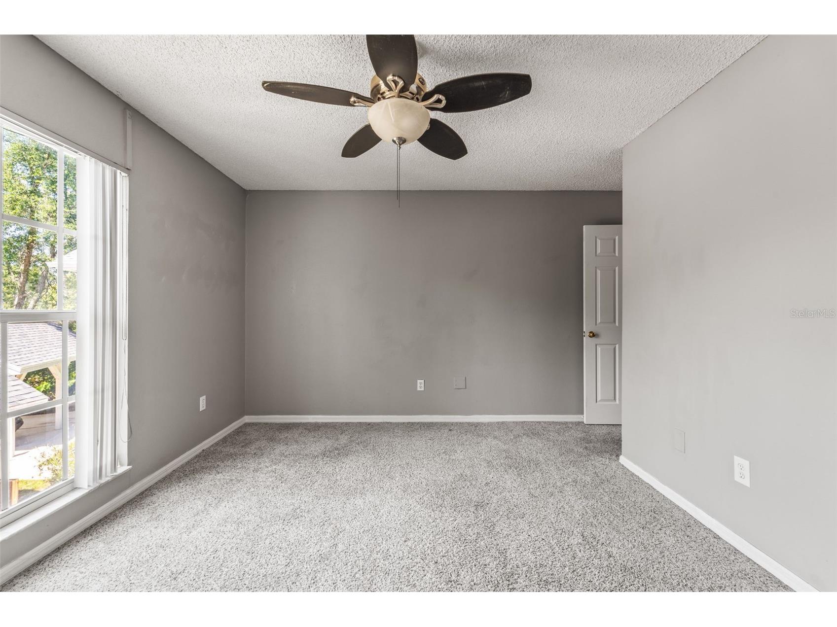 312 Winchester Way Palm Harbor FL 34684 C7524715 image36