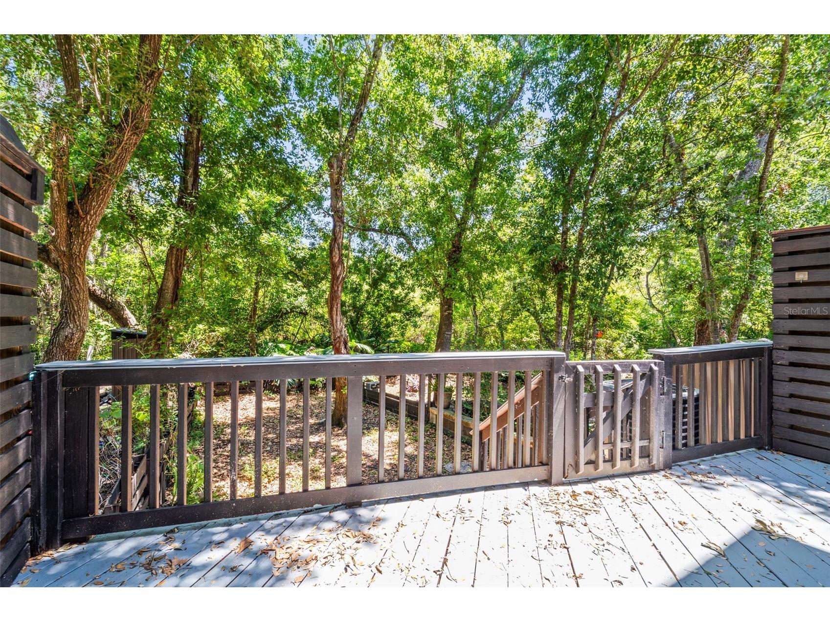 312 Winchester Way Palm Harbor FL 34684 C7524715 image37