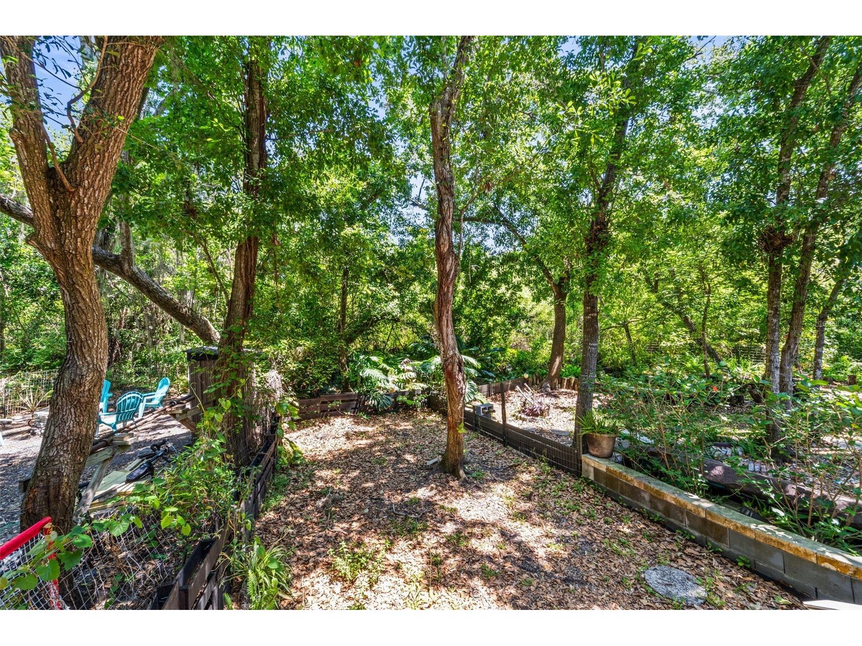 312 Winchester Way Palm Harbor FL 34684 C7524715 image39