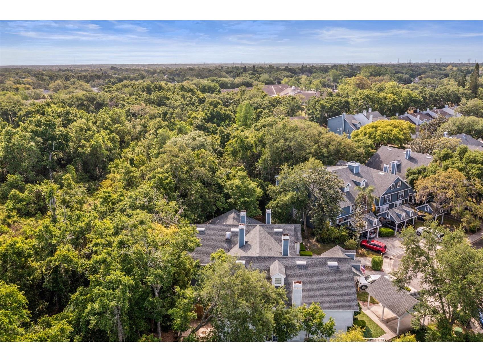 312 Winchester Way Palm Harbor FL 34684 C7524715 image43