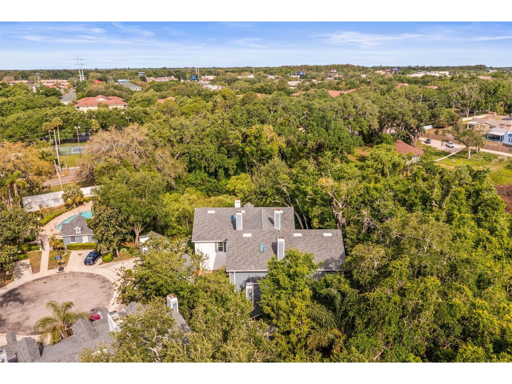 312 Winchester Way Palm Harbor FL 34684 C7524715 image45