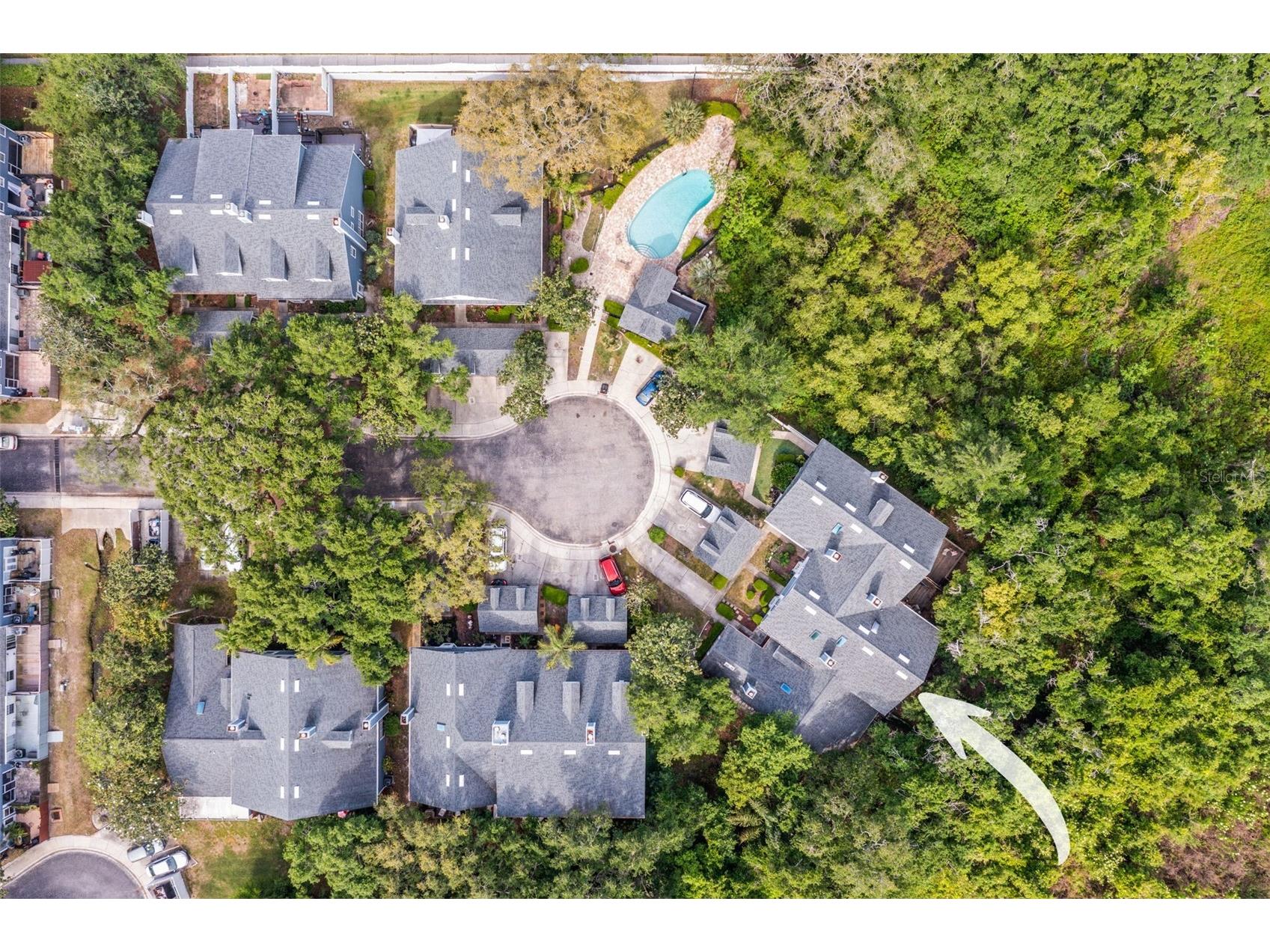 312 Winchester Way Palm Harbor FL 34684 C7524715 image47