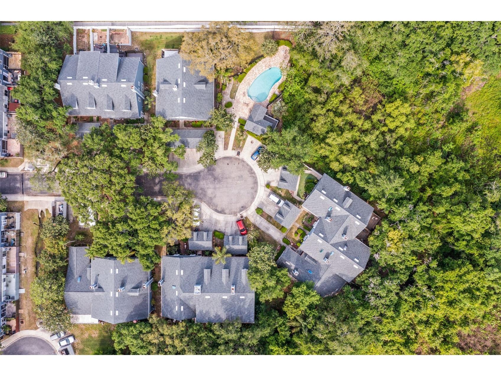 312 Winchester Way Palm Harbor FL 34684 C7524715 image48