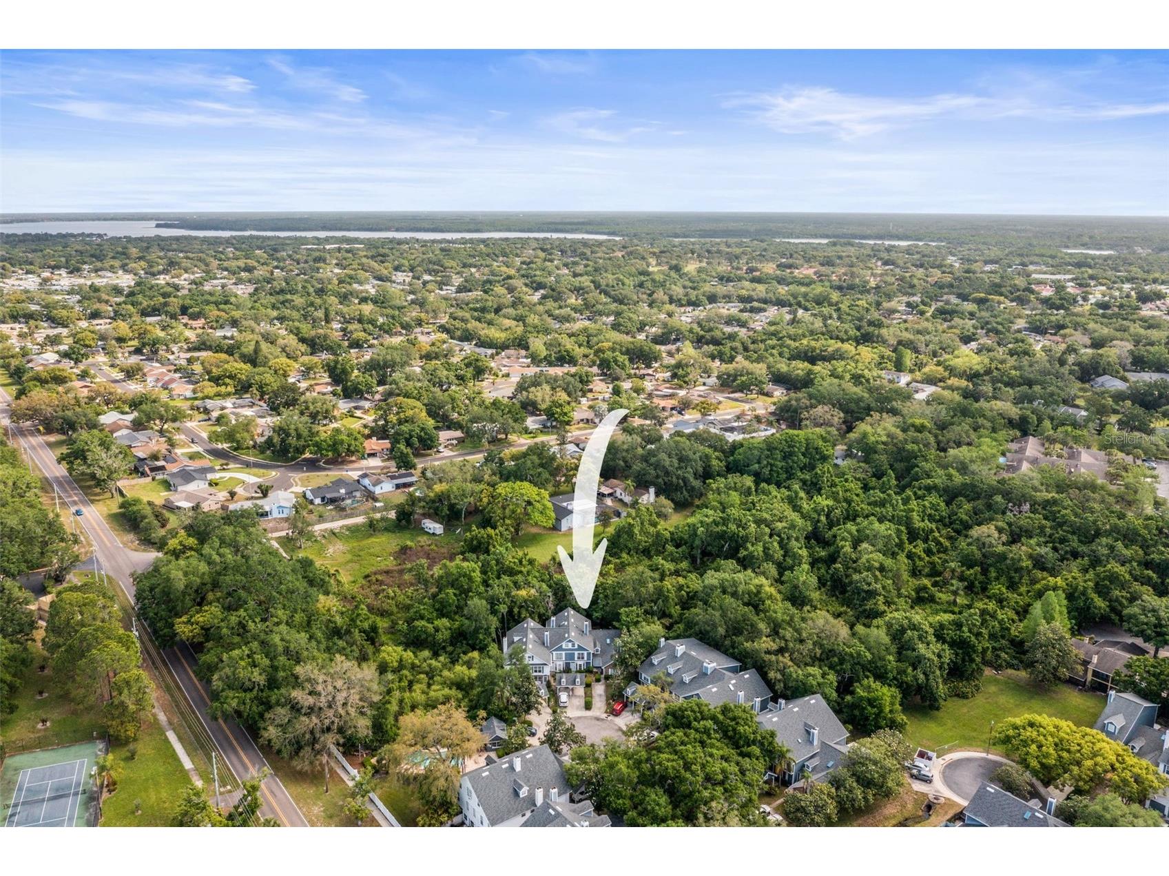 312 Winchester Way Palm Harbor FL 34684 C7524715 image49