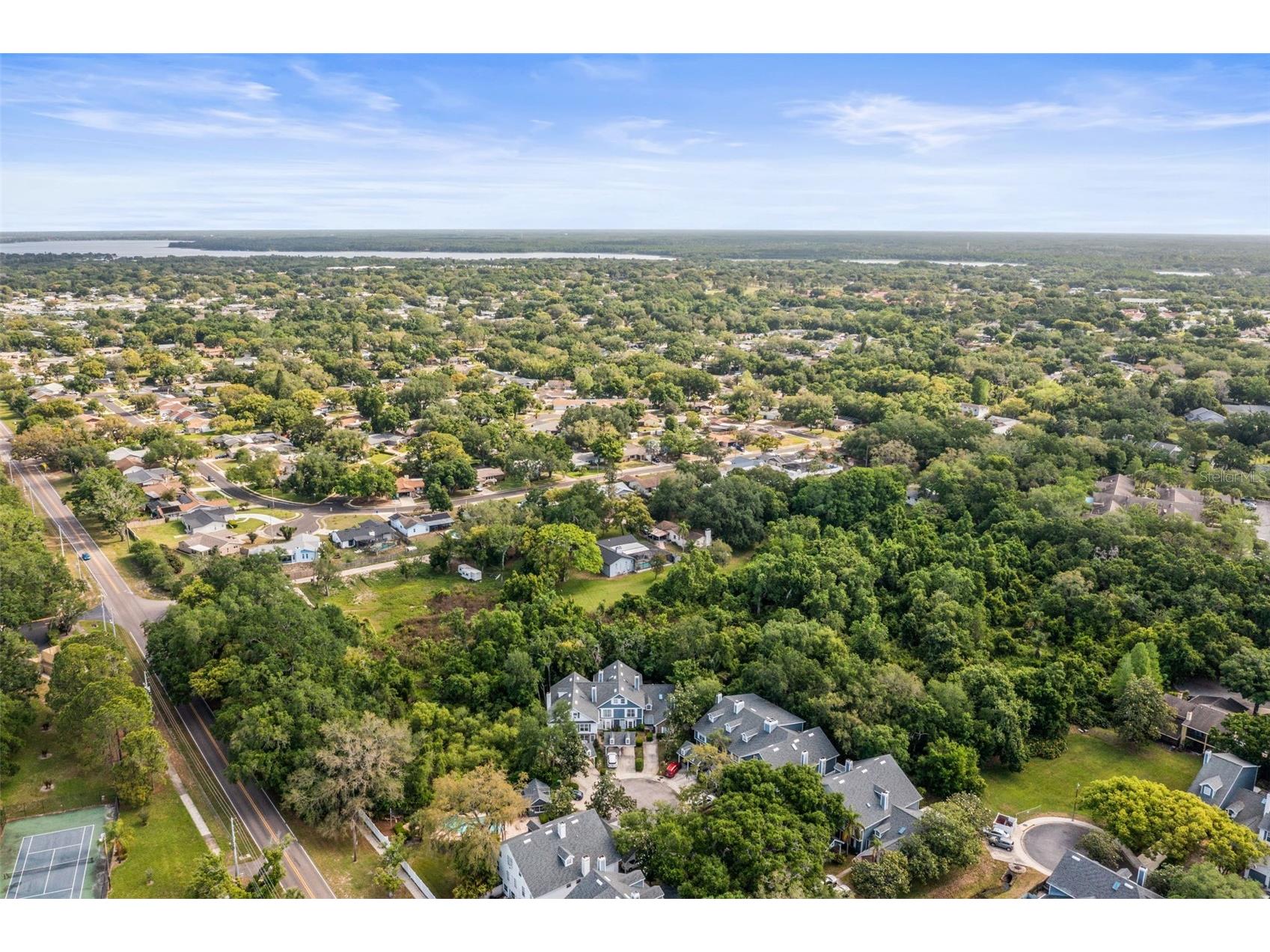 312 Winchester Way Palm Harbor FL 34684 C7524715 image50