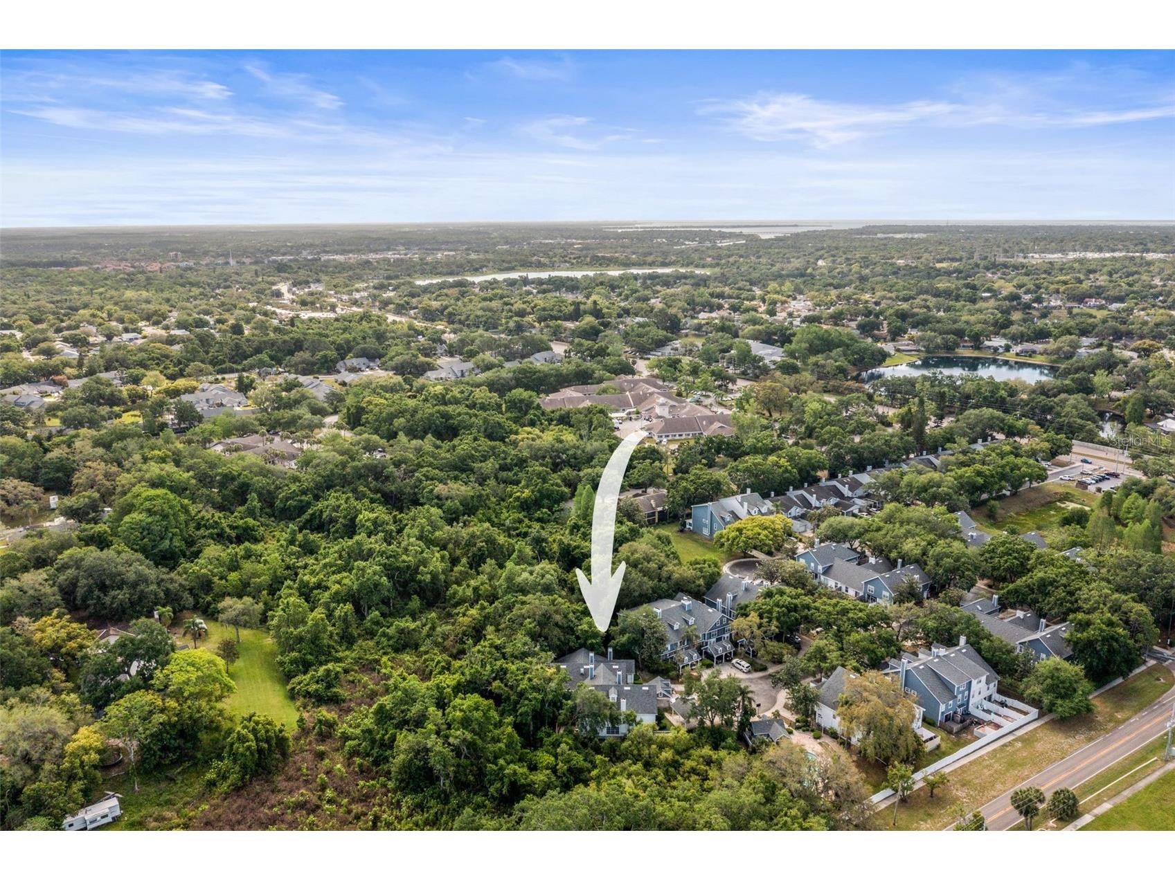312 Winchester Way Palm Harbor FL 34684 C7524715 image51