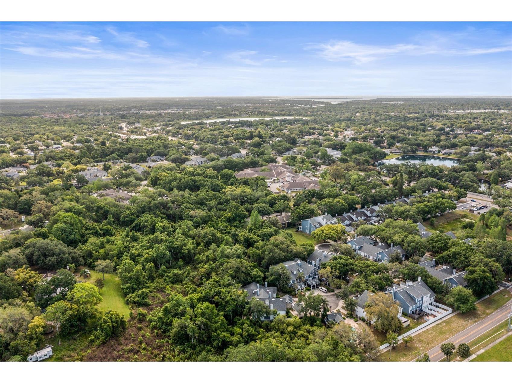 312 Winchester Way Palm Harbor FL 34684 C7524715 image52