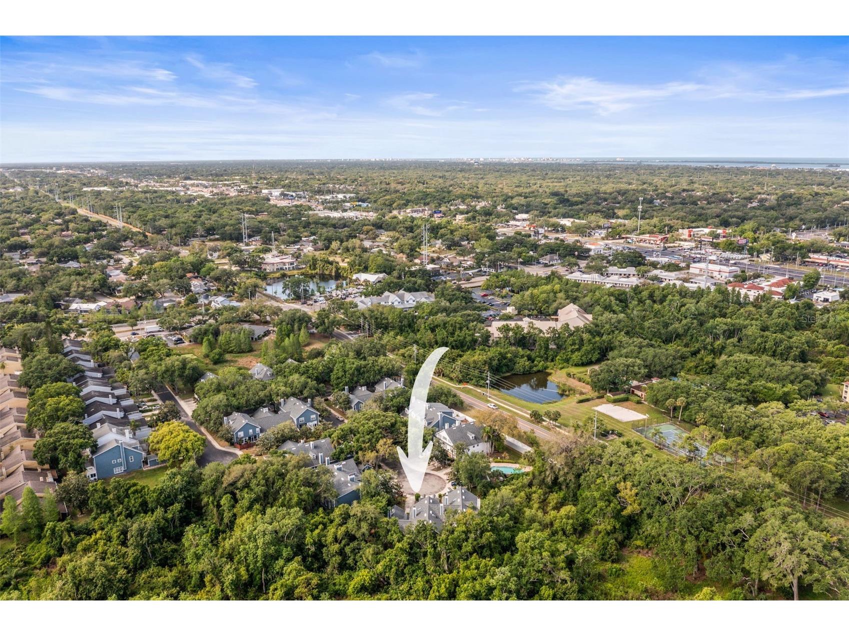 312 Winchester Way Palm Harbor FL 34684 C7524715 image53