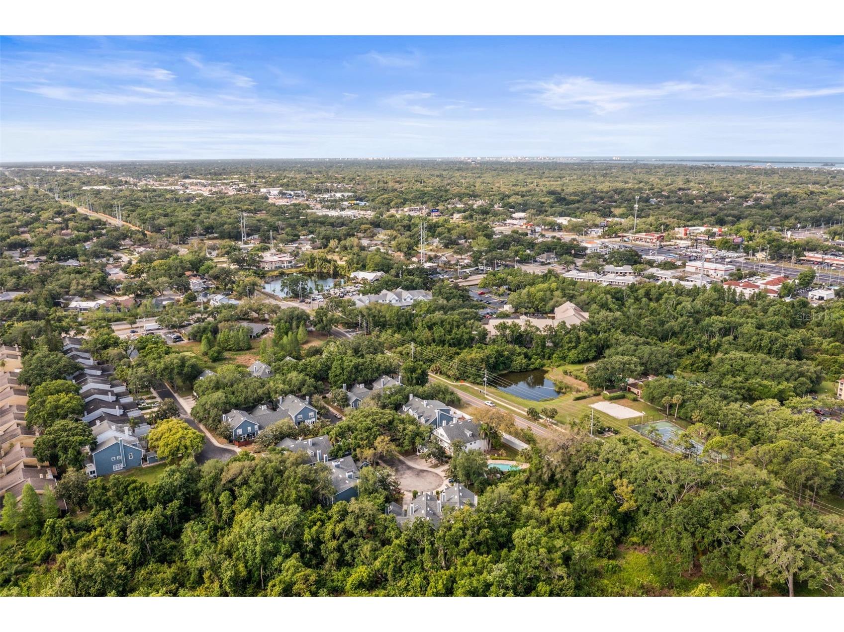 312 Winchester Way Palm Harbor FL 34684 C7524715 image54