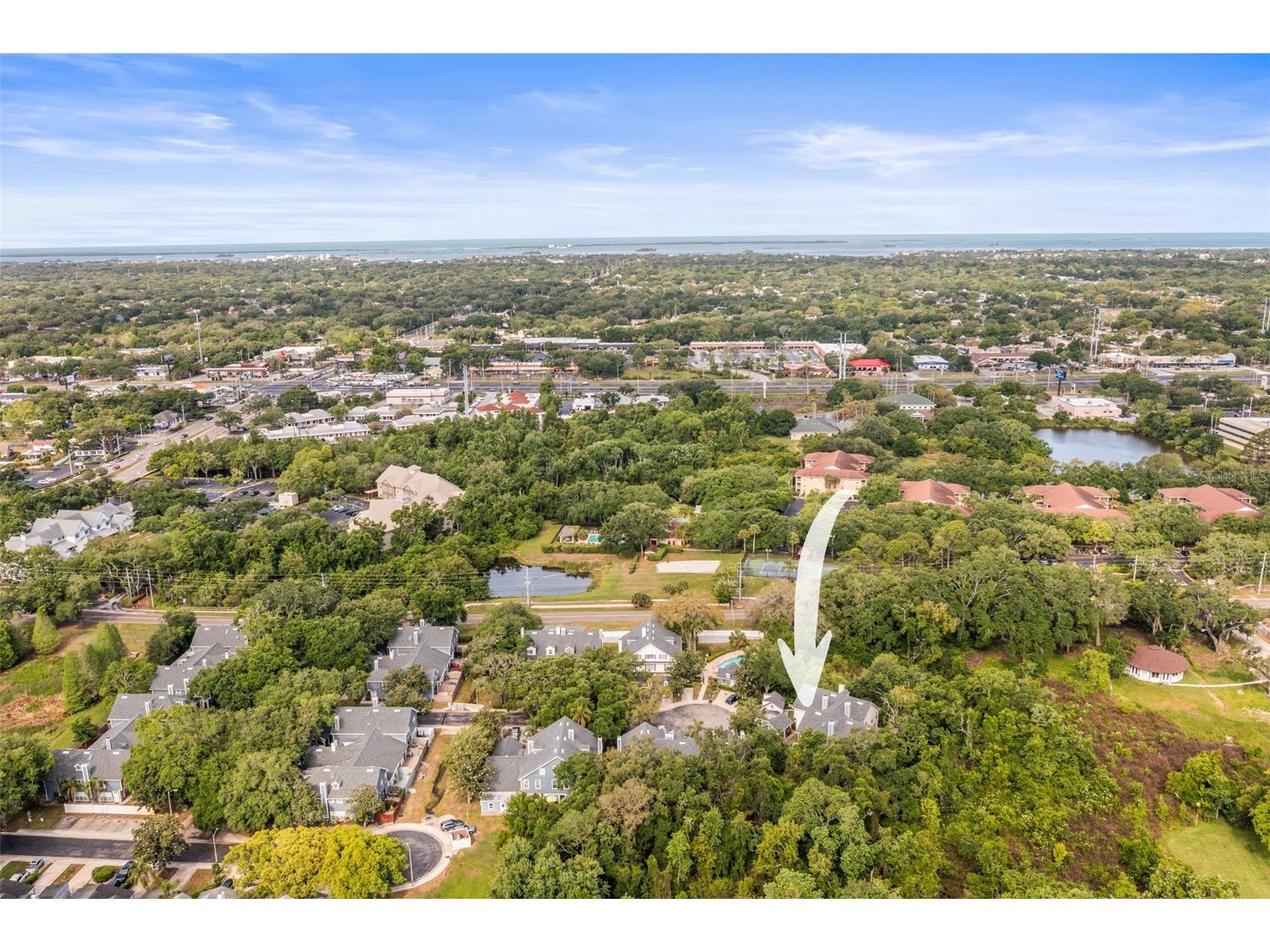 312 Winchester Way Palm Harbor FL 34684 C7524715 image55