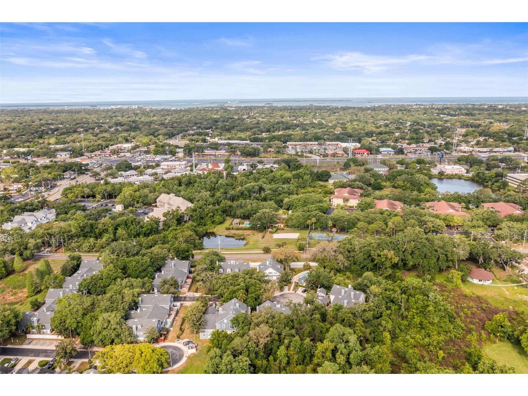 312 Winchester Way Palm Harbor FL 34684 C7524715 image56
