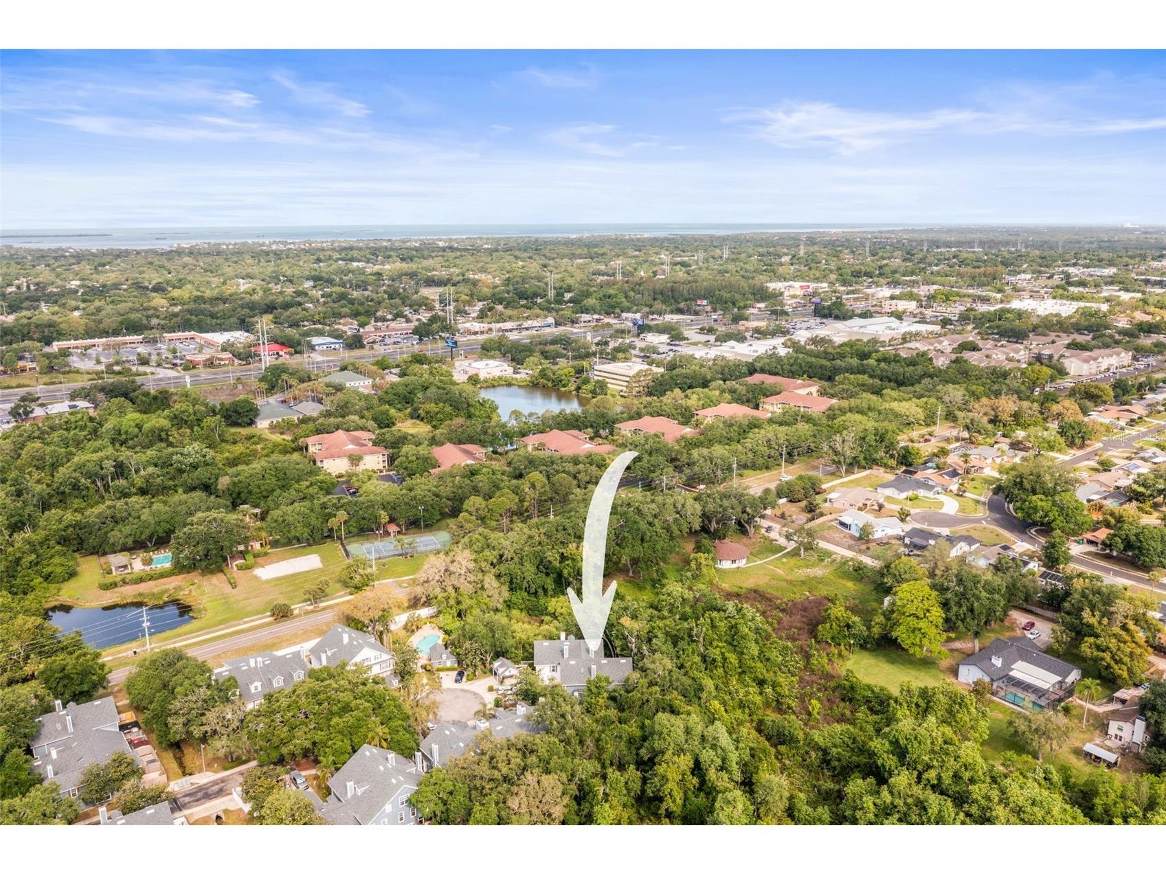 312 Winchester Way Palm Harbor FL 34684 C7524715 image57