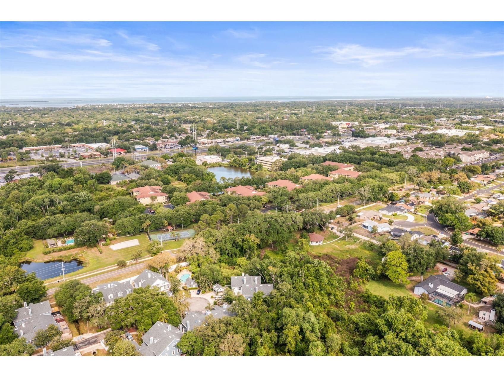 312 Winchester Way Palm Harbor FL 34684 C7524715 image58