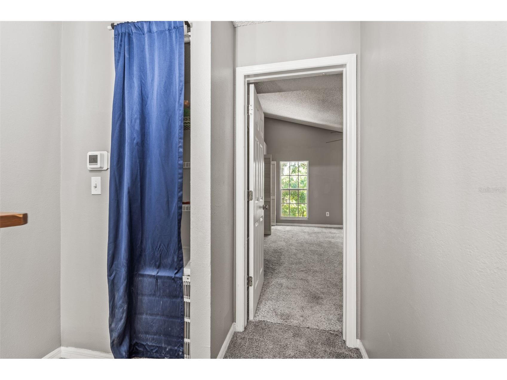 312 Winchester Way Palm Harbor FL 34684 C7524715 image64
