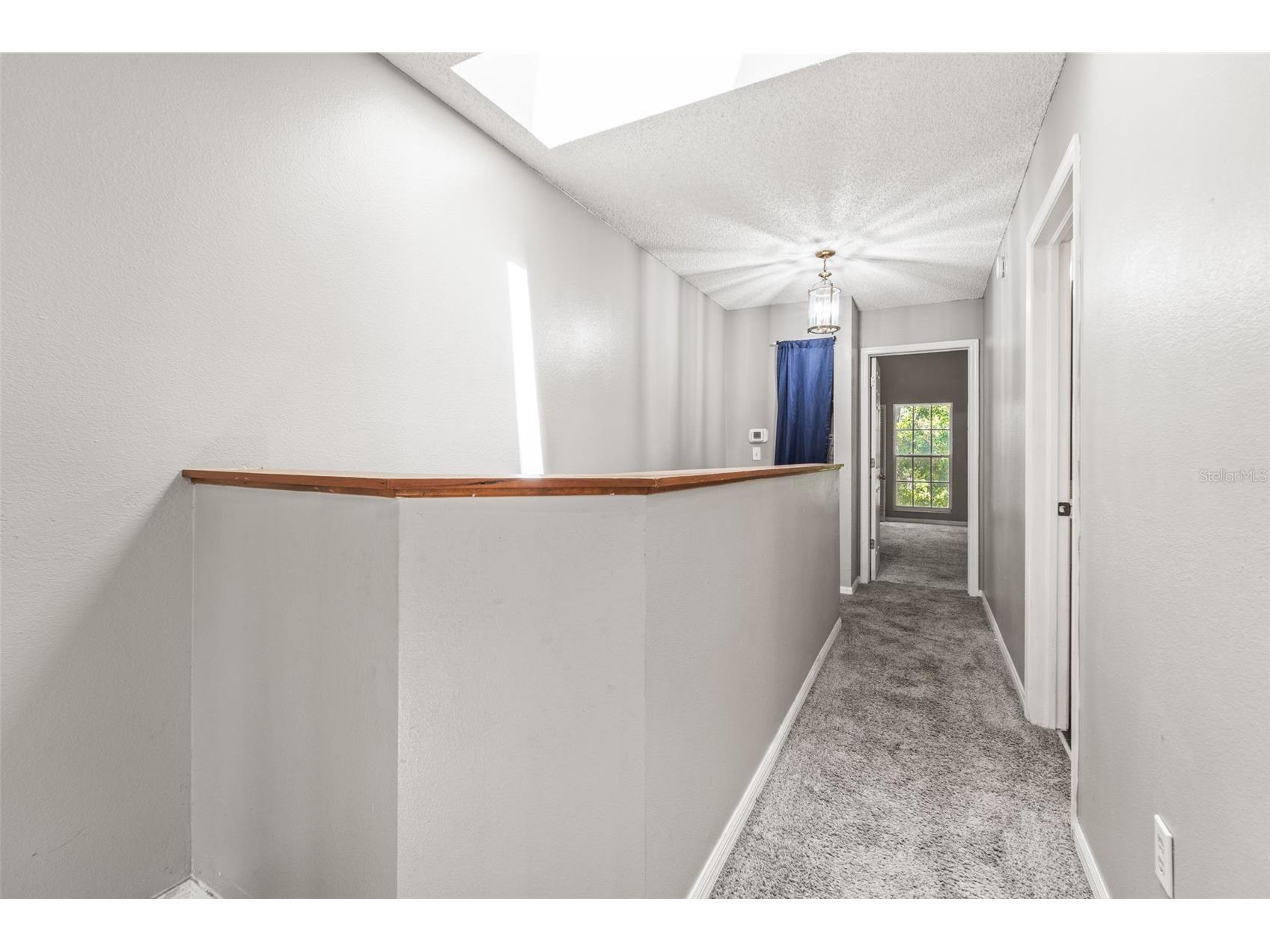 312 Winchester Way Palm Harbor FL 34684 C7524715 image65