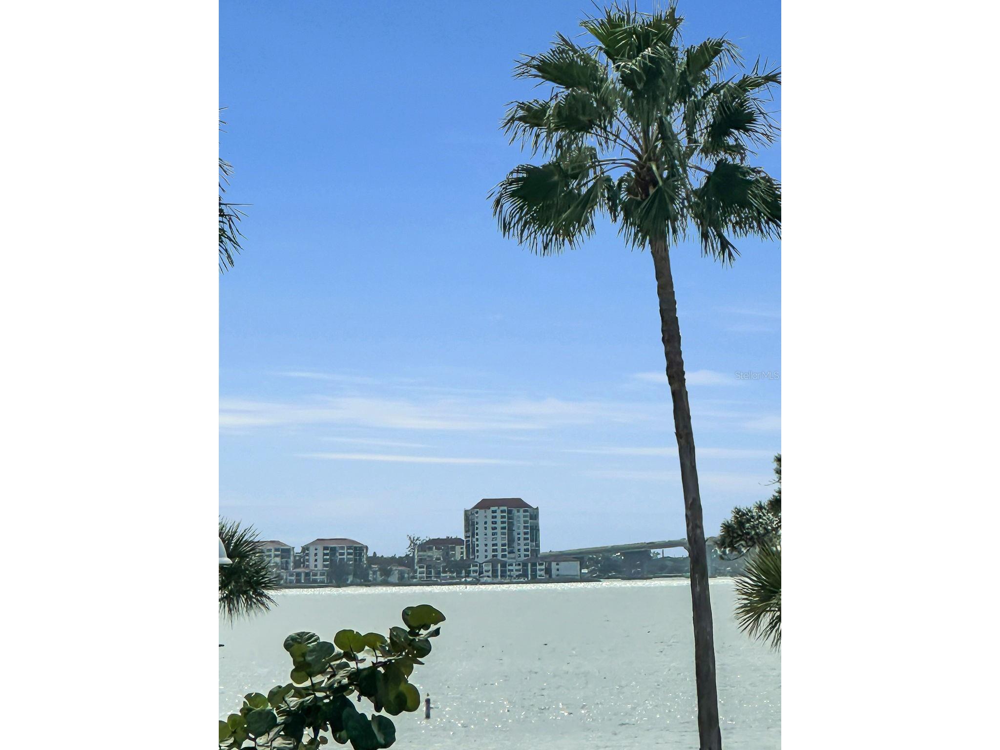 3120 Clinton Street S Gulfport FL 33707 W7882028 image48