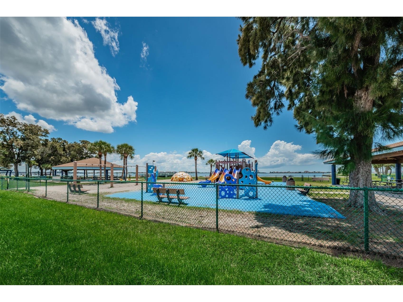 3120 Clinton Street S Gulfport FL 33707 W7882028 image61