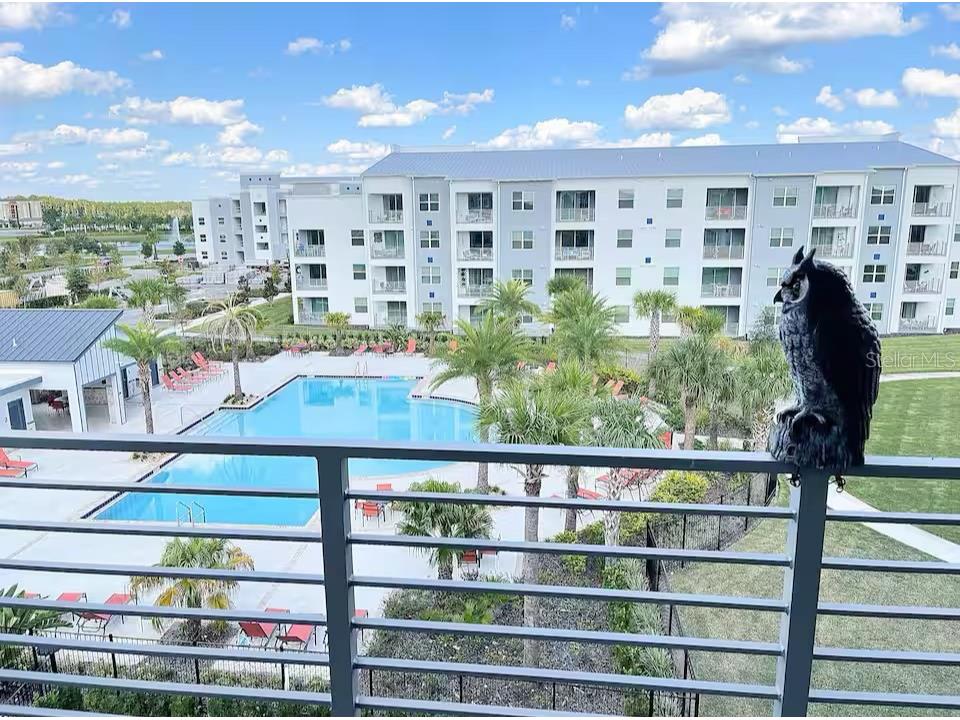 3120 Paradox Circle #401 Kissimmee FL 34746 O6298745 image1