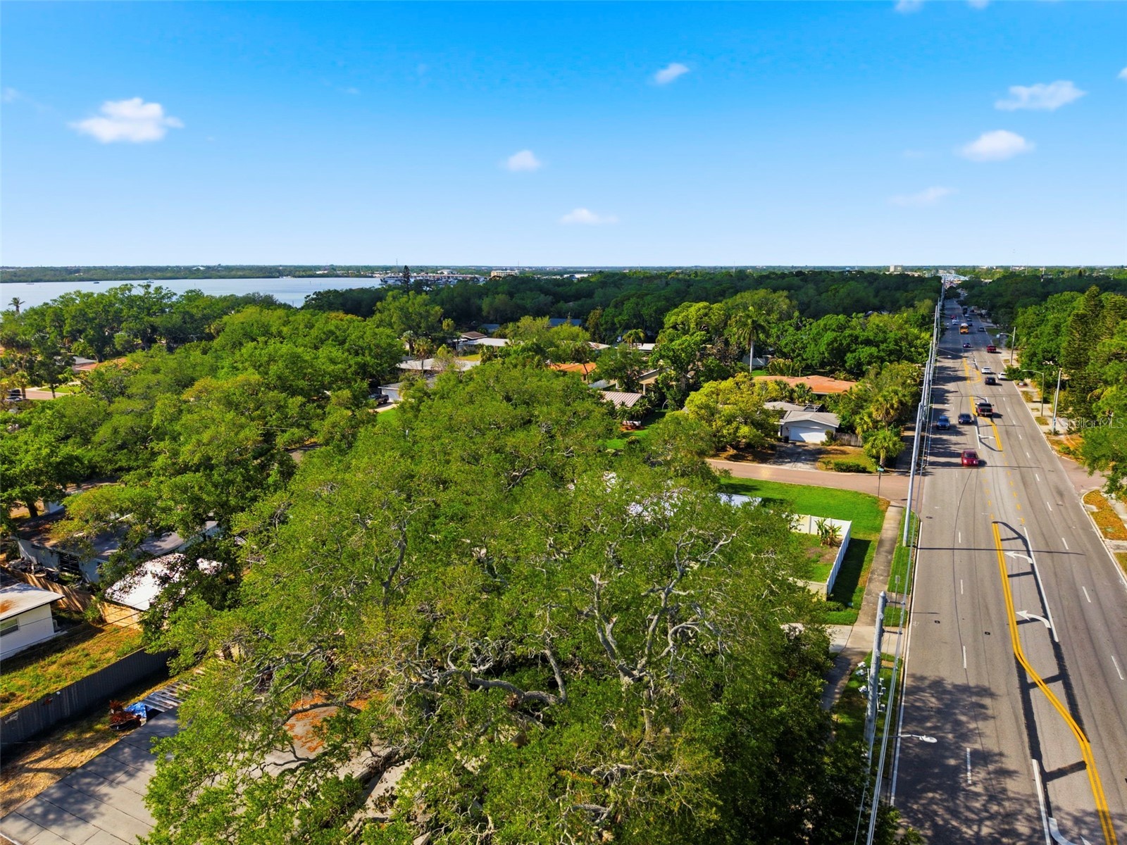 3120 Park Street N Saint Petersburg FL 33710 TB8490966 image61