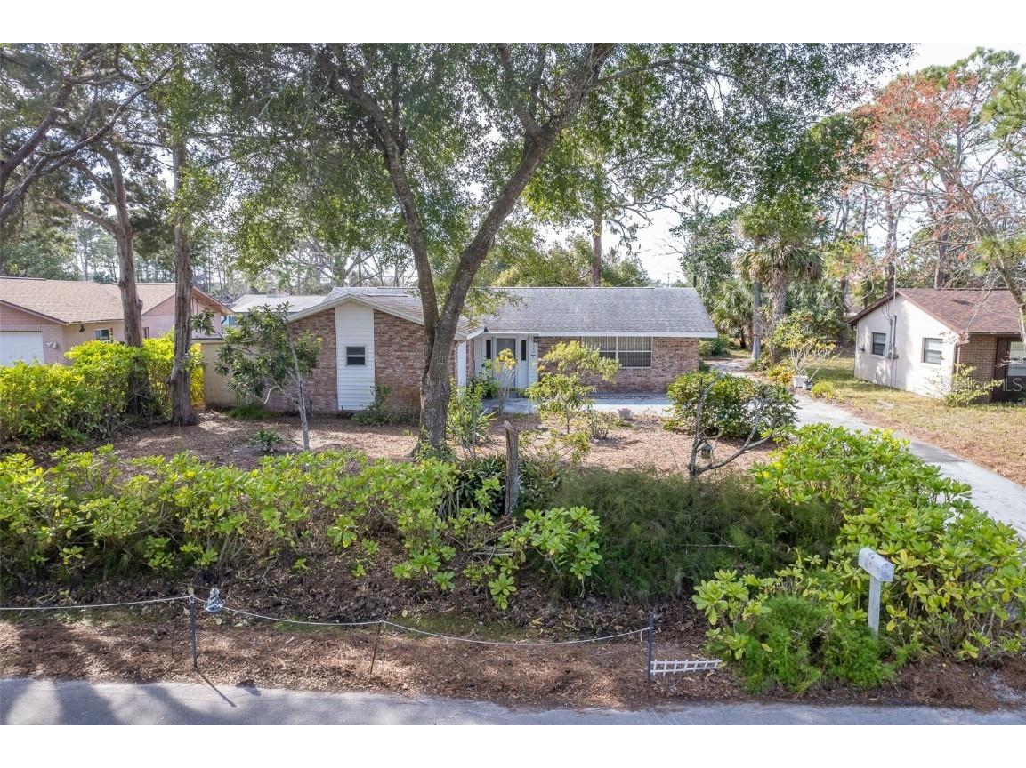 3120 Pine Tree Drive Edgewater FL 32141 NS1083679 image1