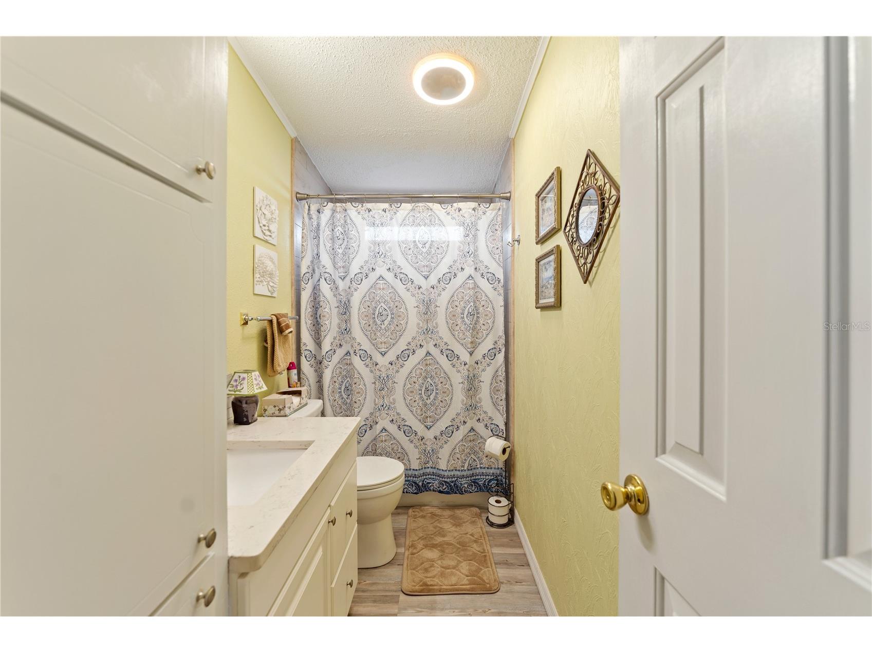 3120 Pond Hollow Street Wesley Chapel FL 33543 TB8484098 image22