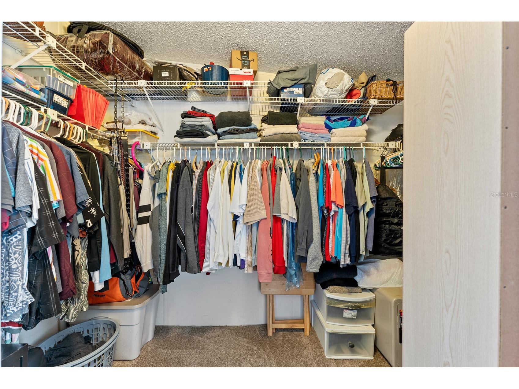 3120 Pond Hollow Street Wesley Chapel FL 33543 TB8484098 image35