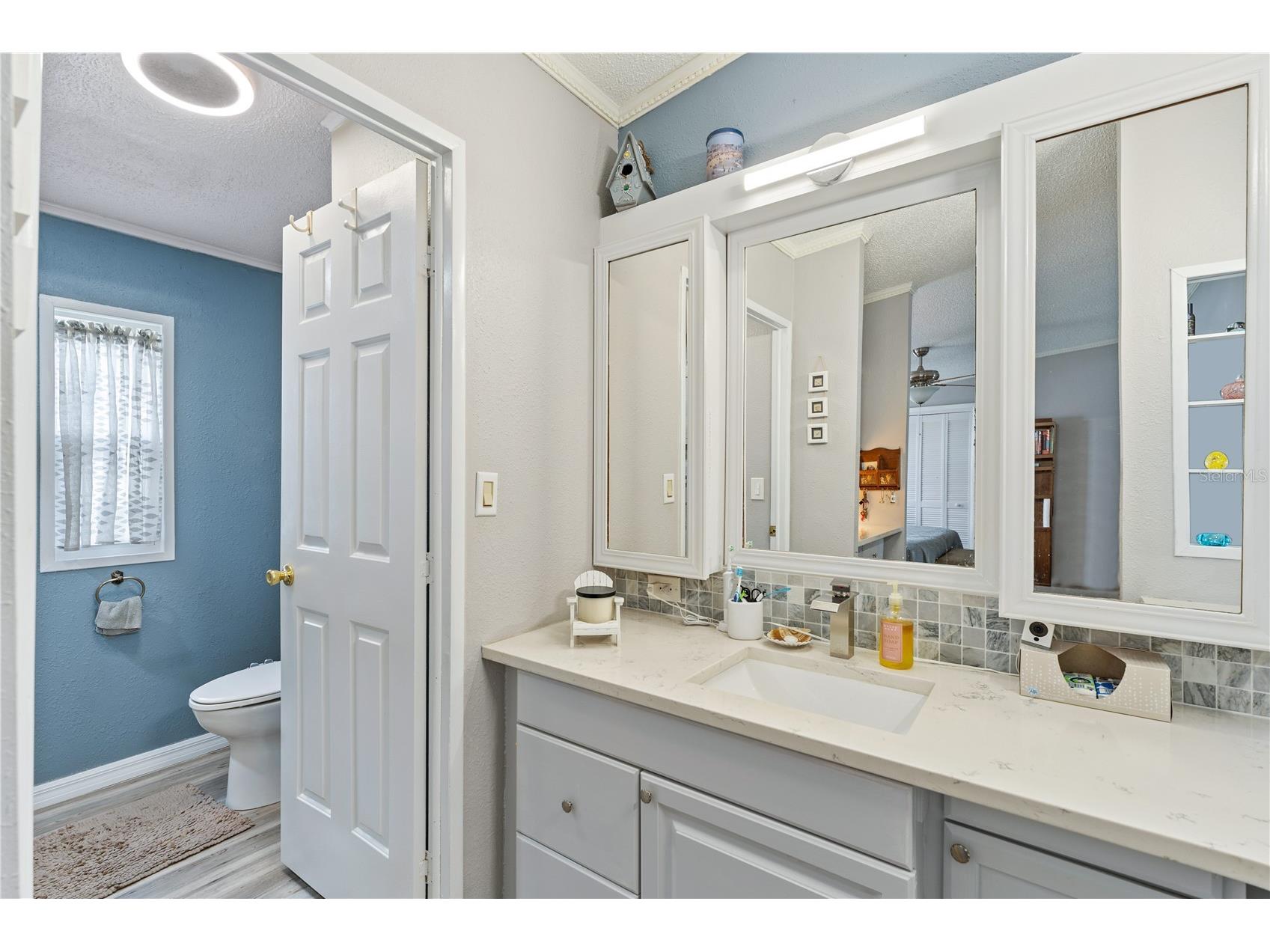 3120 Pond Hollow Street Wesley Chapel FL 33543 TB8484098 image38