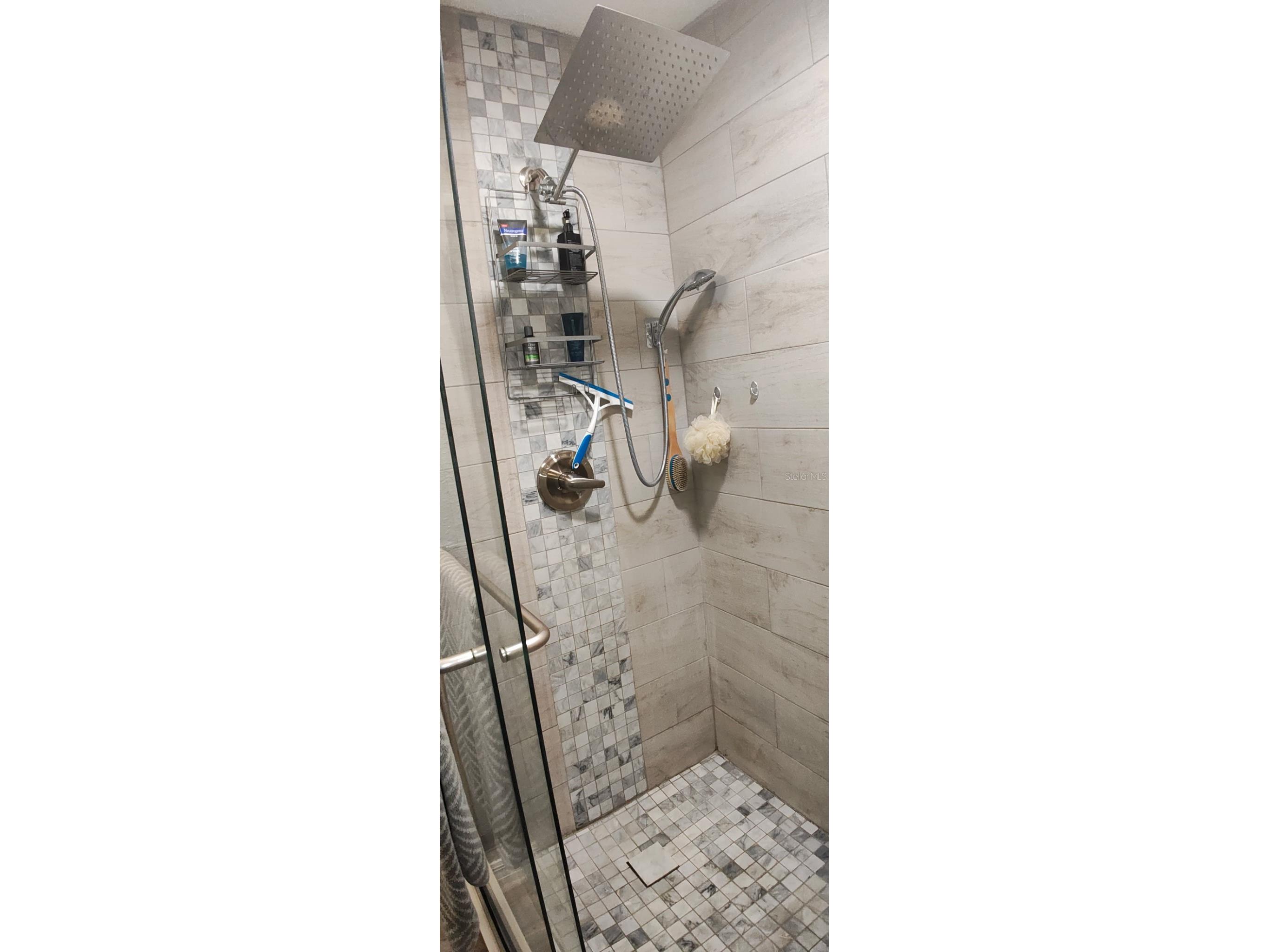 3120 Pond Hollow Street Wesley Chapel FL 33543 TB8484098 image41