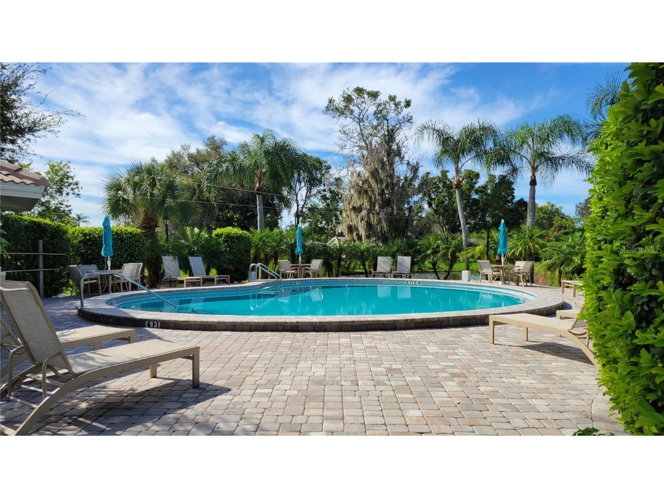 3120 Ringwood Meadow Road #39 Sarasota FL 34235 A4657282 image22