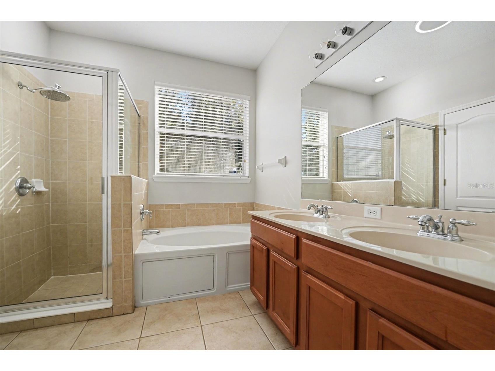 3120 Stonington Run Kissimmee FL 34746 O6383865 image12