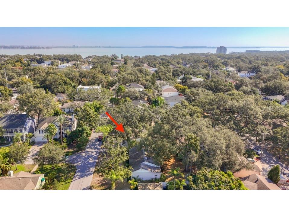 3120 W Coachman Avenue Tampa FL 33611 TB8448373 image7