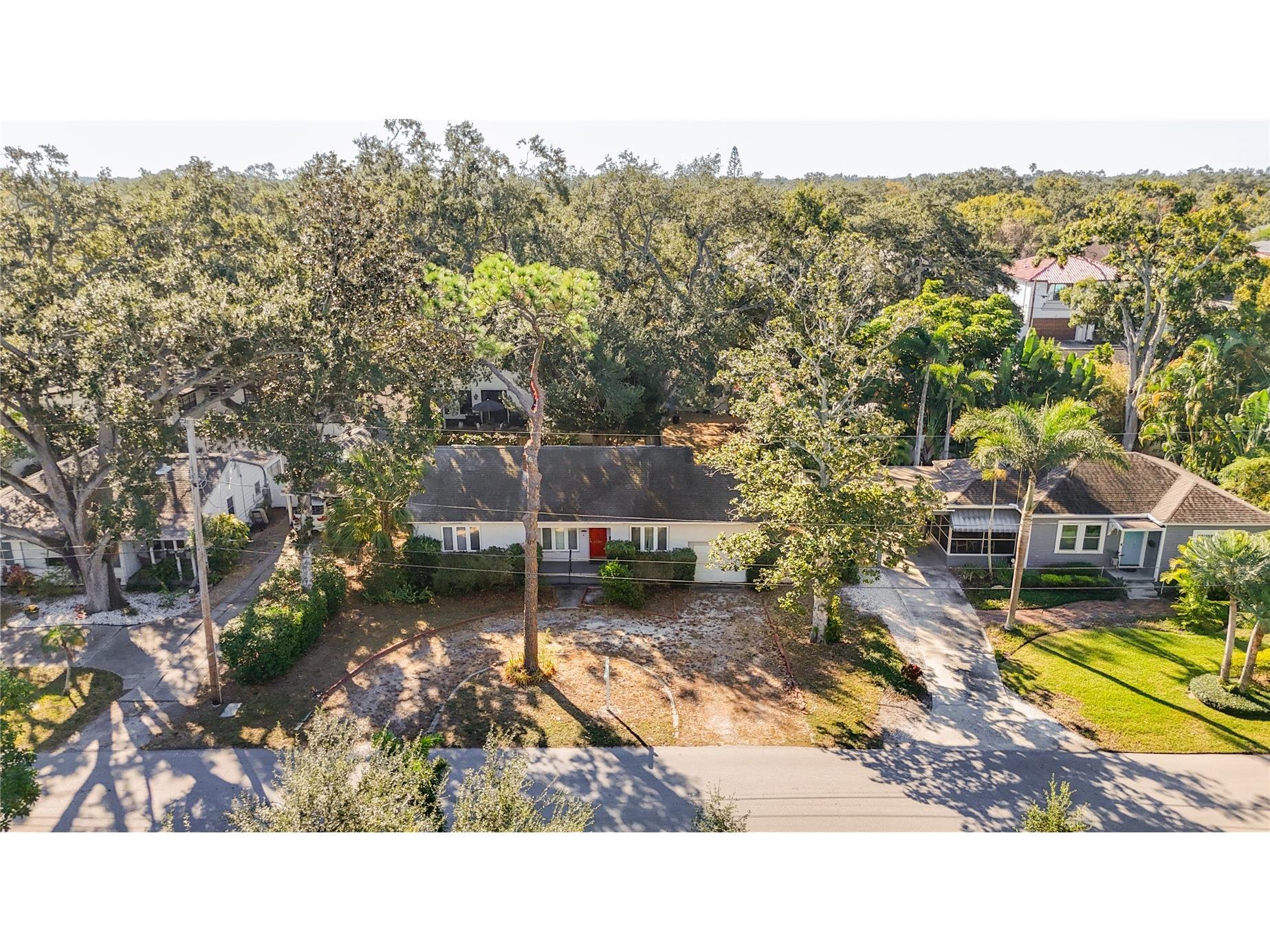 3120 W Coachman Avenue Tampa FL 33611 TB8525882 image2