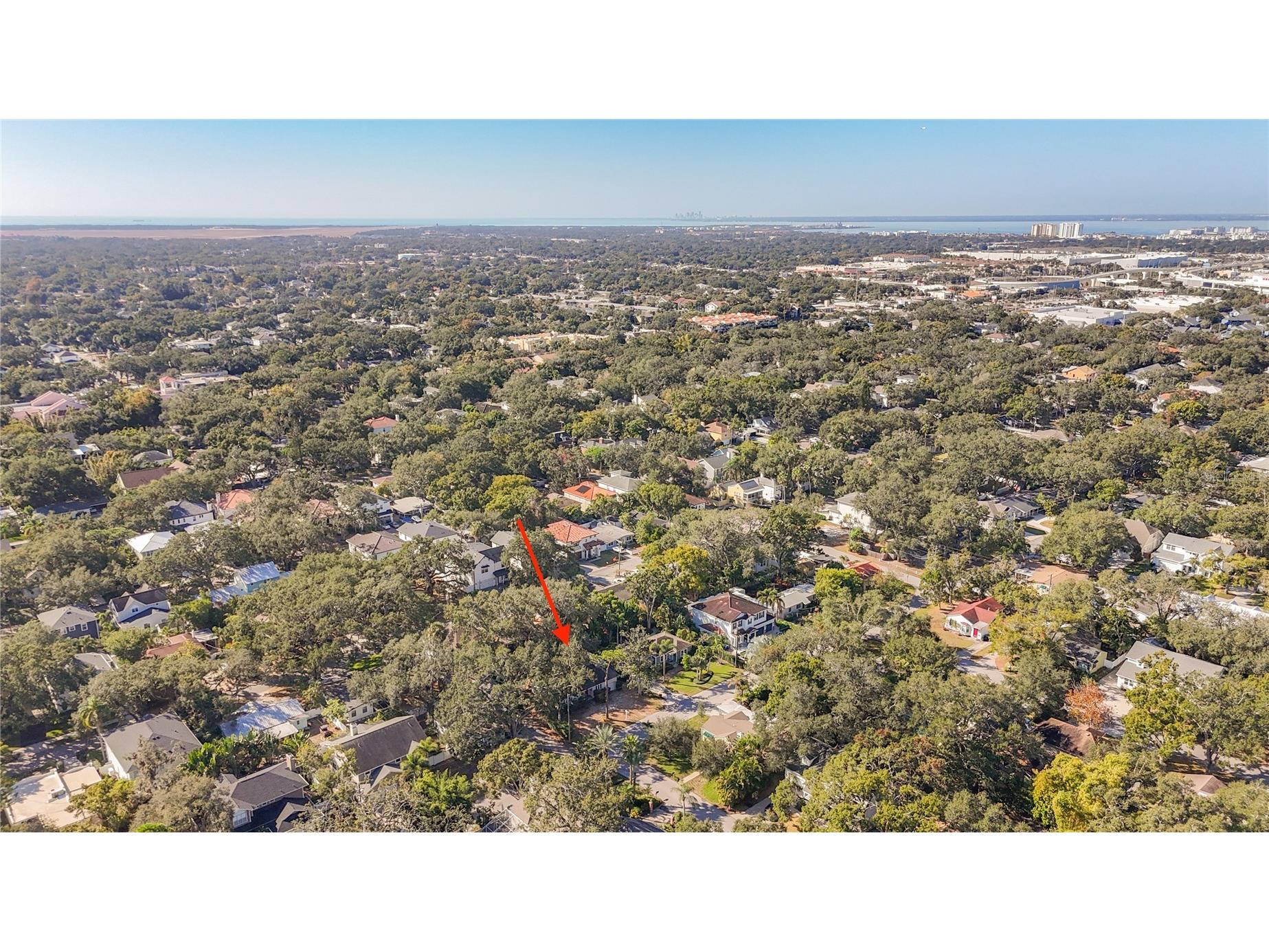 3120 W Coachman Avenue Tampa FL 33611 TB8525882 image6