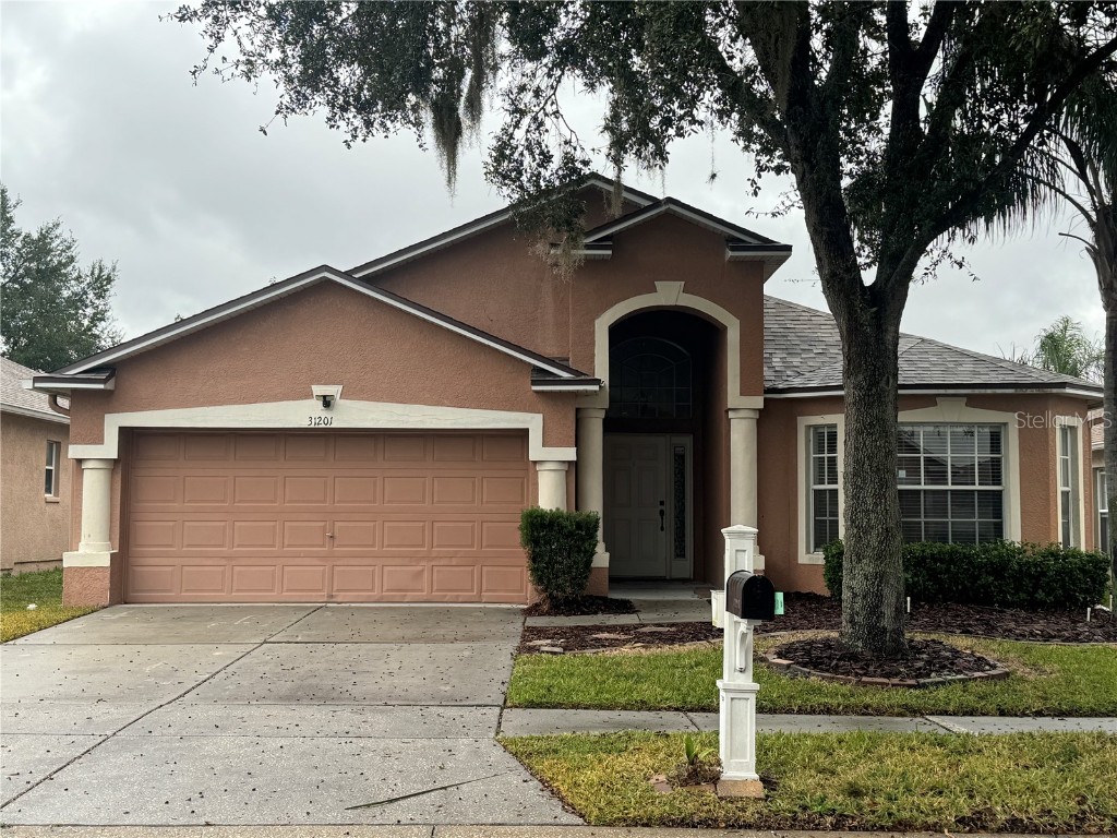 31201 Baclan Drive Wesley Chapel FL 33545 T3493626 image1