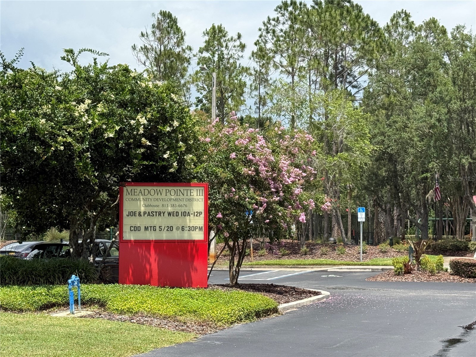31203 Flannery Court Wesley Chapel FL 33543 TB8508019 image22