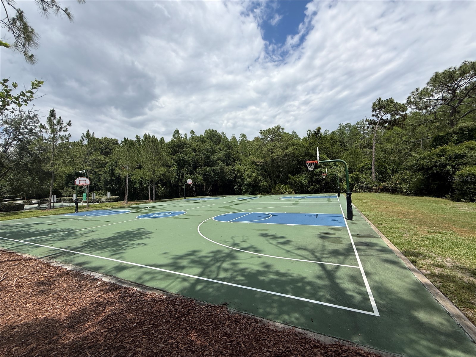 31203 Flannery Court Wesley Chapel FL 33543 TB8508019 image27